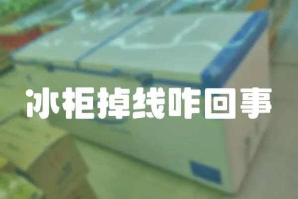 冰柜掉线咋回事
