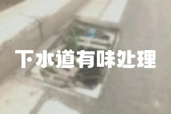下水道有味處理
