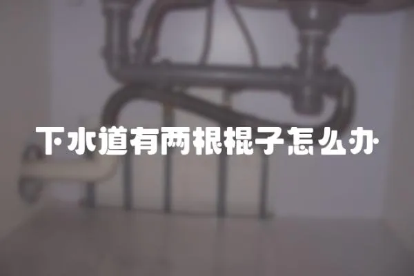 下水道有兩根棍子怎么辦
