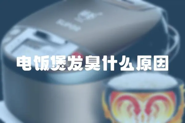 電飯煲發臭什么原因
