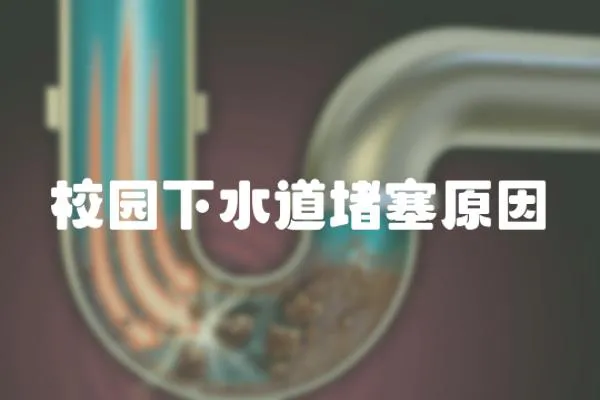 校園下水道堵塞原因