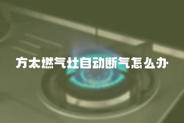 方太燃?xì)庠钭詣?dòng)斷氣怎么辦