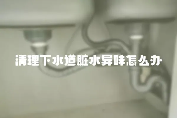 清理下水道臟水異味怎么辦