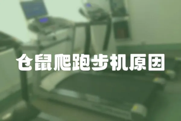 倉鼠爬跑步機原因