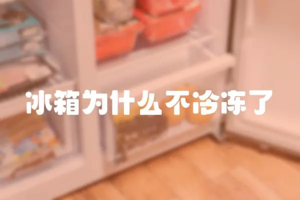冰箱為什么不冷凍了