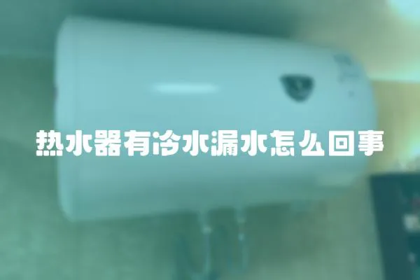熱水器有冷水漏水怎么回事