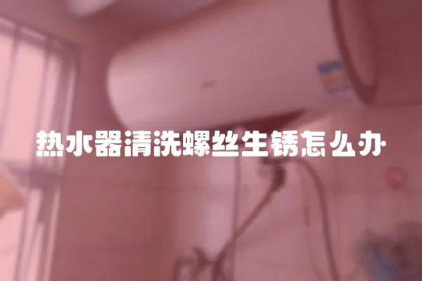 熱水器清洗螺絲生銹怎么辦