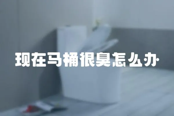 現在馬桶很臭怎么辦