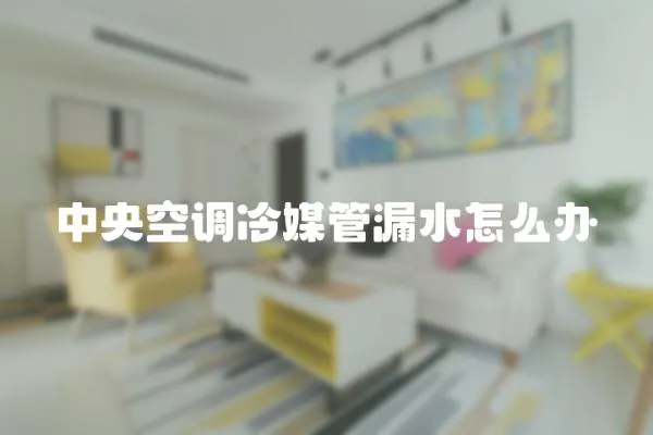 中央空調冷媒管漏水怎么辦