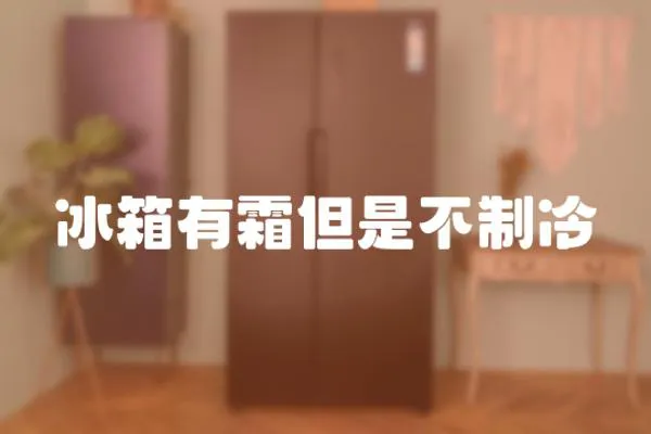 冰箱有霜但是不制冷