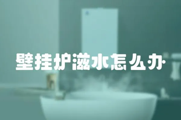 壁掛爐滋水怎么辦