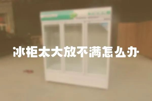冰柜太大放不滿怎么辦