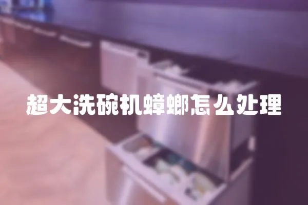 超大洗碗機蟑螂怎么處理