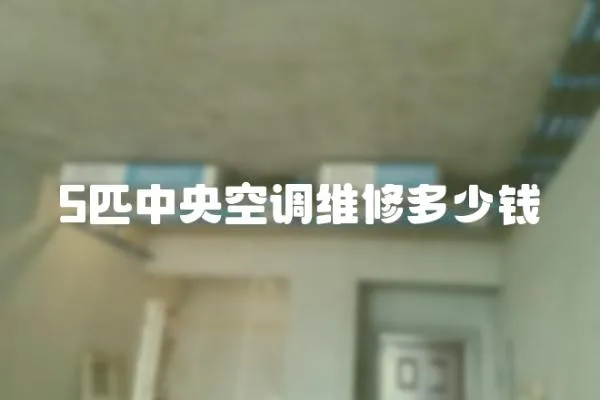 5匹中央空調維修多少錢