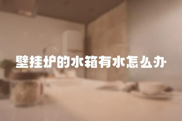 壁掛爐的水箱有水怎么辦