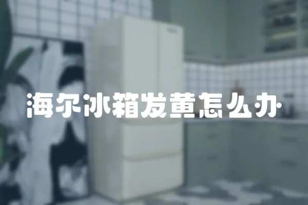 海爾冰箱發黃怎么辦