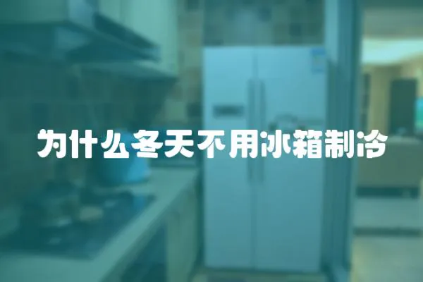 為什么冬天不用冰箱制冷