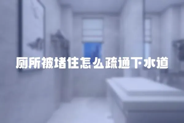 廁所被堵住怎么疏通下水道