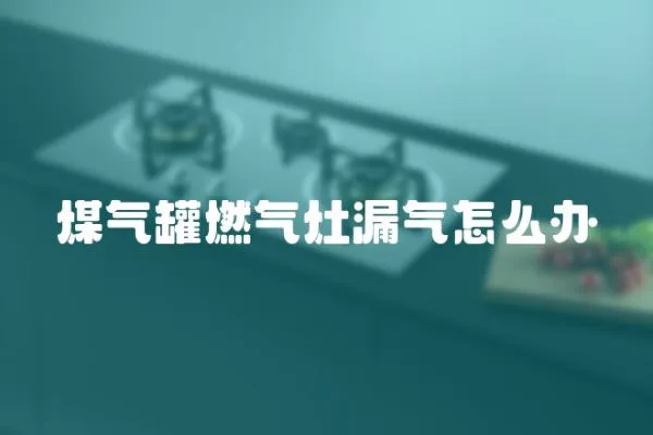煤氣罐燃氣灶漏氣怎么辦
