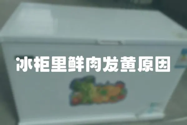 冰柜里鮮肉發黃原因