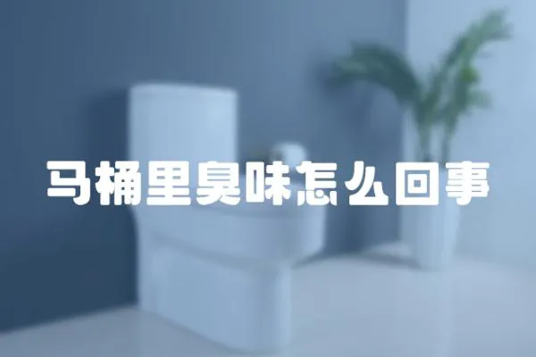 馬桶里臭味怎么回事