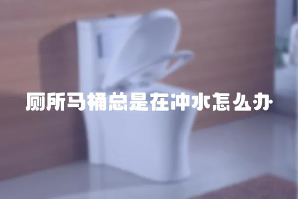 廁所馬桶總是在沖水怎么辦