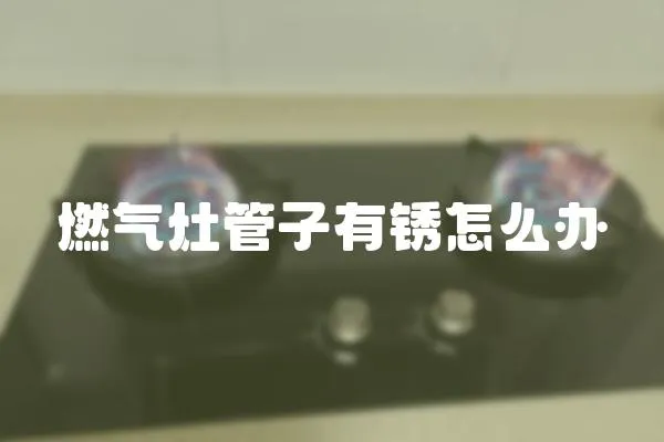 燃?xì)庠罟茏佑袖P怎么辦