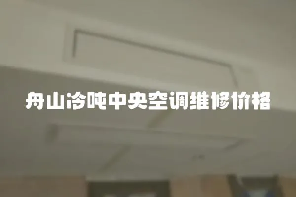 舟山冷噸中央空調(diào)維修價格