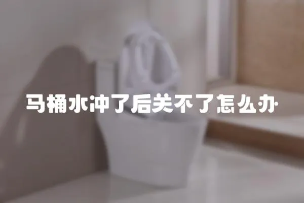 馬桶水沖了后關(guān)不了怎么辦