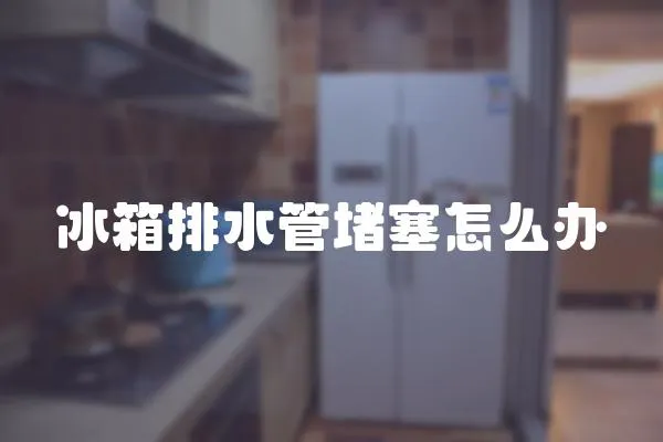 冰箱排水管堵塞怎么辦