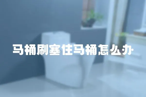 馬桶刷塞住馬桶怎么辦