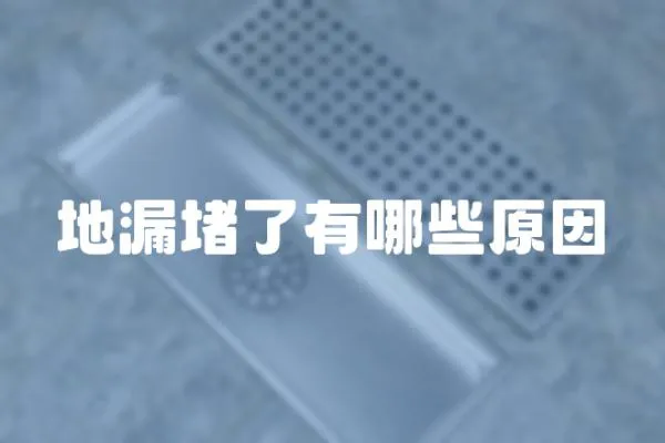 地漏堵了有哪些原因