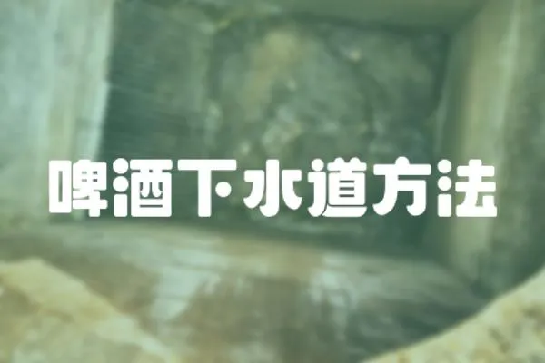 啤酒下水道方法