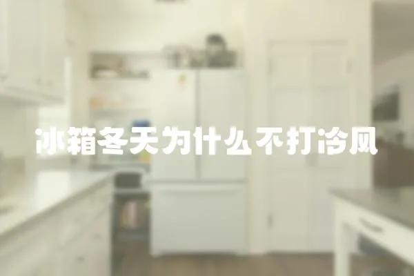 冰箱冬天為什么不打冷風