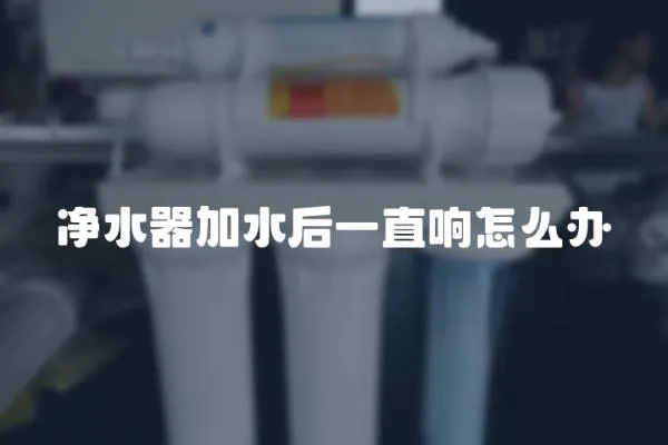 凈水器加水后一直響怎么辦