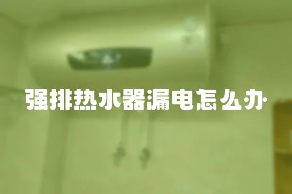 強排熱水器漏電怎么辦