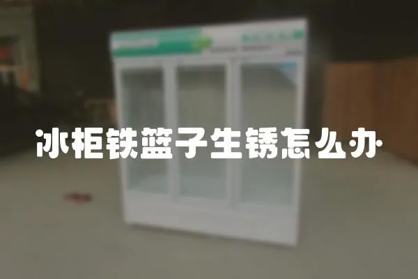 冰柜鐵籃子生銹怎么辦