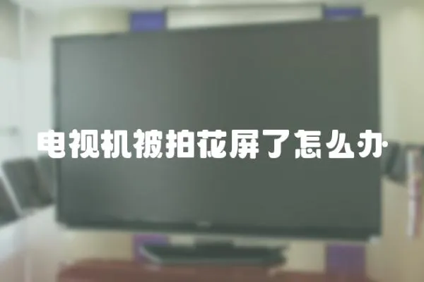 電視機被拍花屏了怎么辦