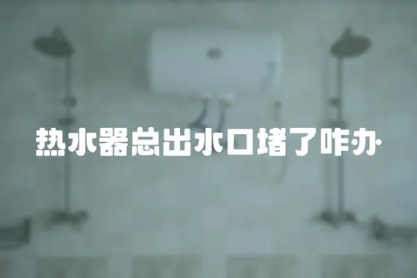 熱水器總出水口堵了咋辦