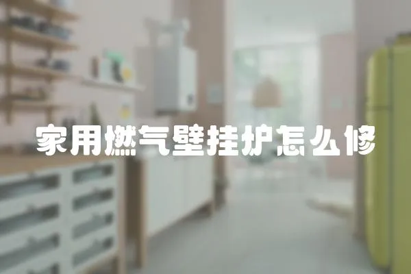 家用燃?xì)獗趻鞝t怎么修