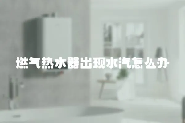 燃氣熱水器出現水汽怎么辦