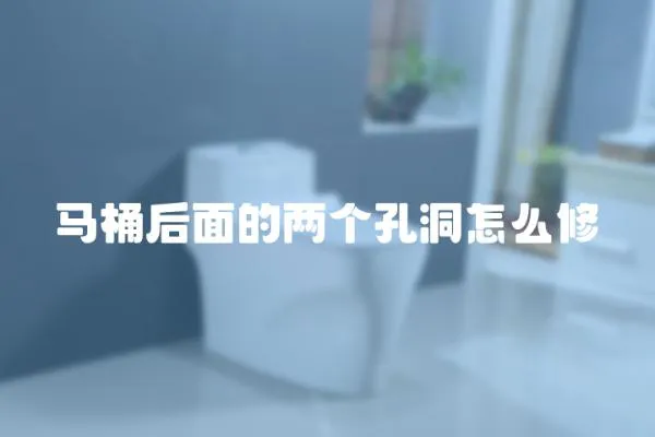 馬桶后面的兩個孔洞怎么修