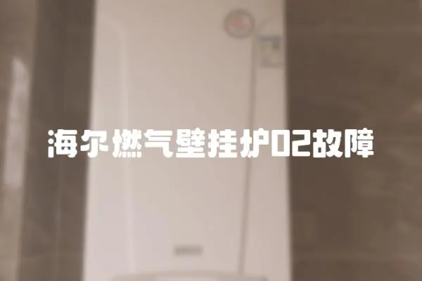 海爾燃?xì)獗趻鞝t02故障
