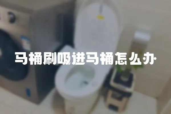 馬桶刷吸進馬桶怎么辦