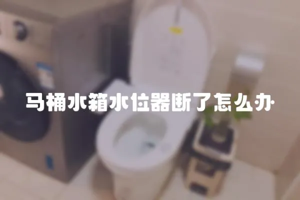 馬桶水箱水位器斷了怎么辦