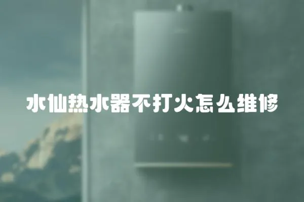 水仙熱水器不打火怎么維修
