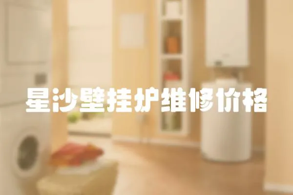 星沙壁掛爐維修價格
