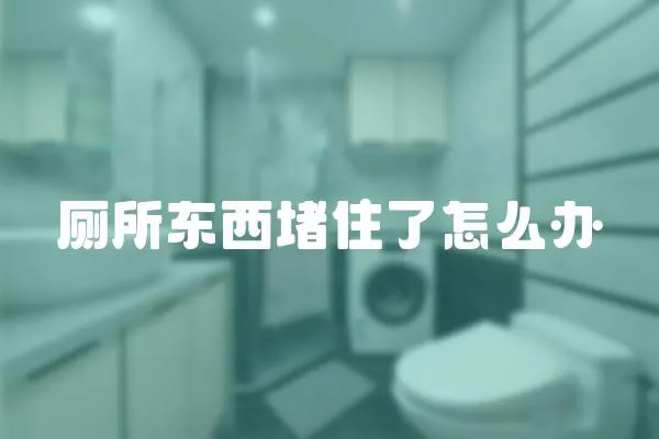 廁所東西堵住了怎么辦