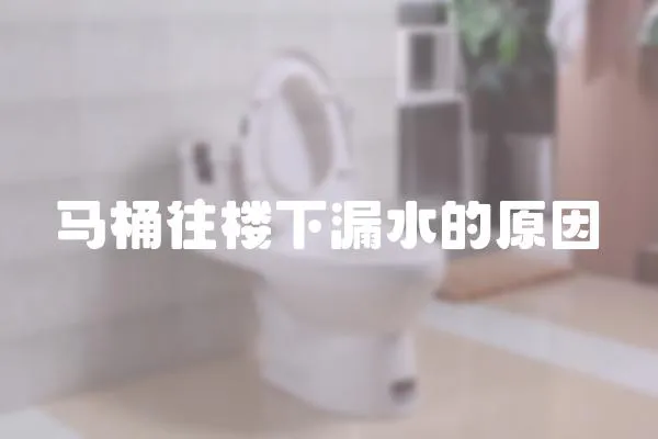 馬桶往樓下漏水的原因
