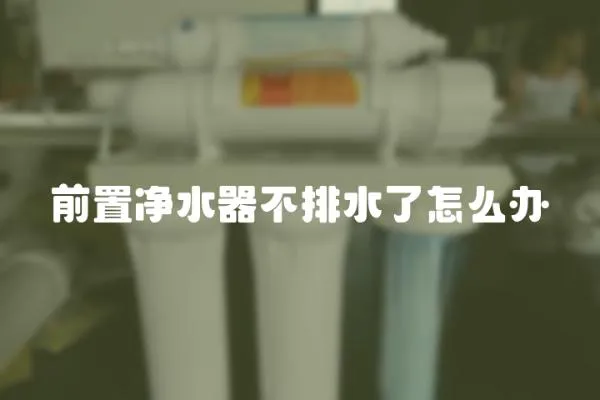 前置凈水器不排水了怎么辦